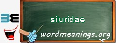 WordMeaning blackboard for siluridae